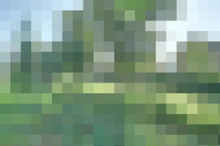 Diepenbrocksingel 61 Waalwijk thumbnail 32
