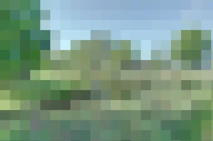 Diepenbrocksingel 61 Waalwijk thumbnail 34