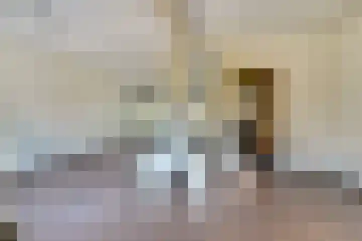 Diepenbrocksingel 61 Waalwijk thumbnail 7
