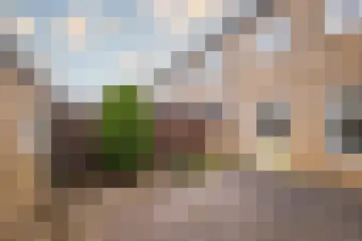 Diepenbrockstraat 1 Zevenaar thumbnail 18