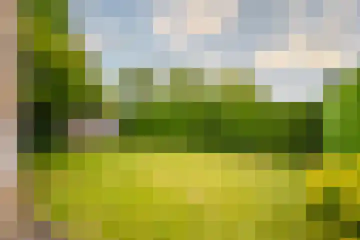 Diepenbrockstraat 1 Zevenaar thumbnail 21