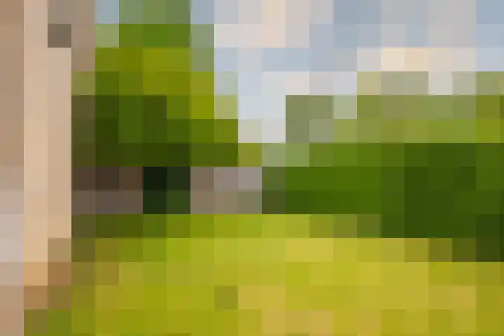 Diepenbrockstraat 1 Zevenaar thumbnail 22