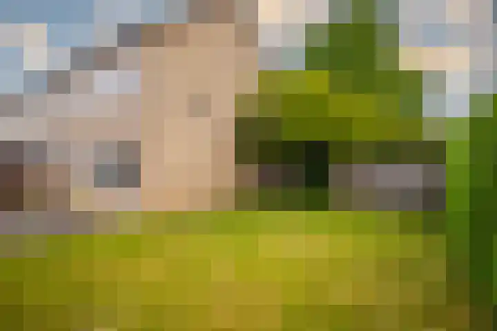 Diepenbrockstraat 1 Zevenaar thumbnail 23