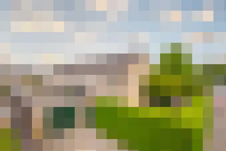 Diepenbrockstraat 1 Zevenaar thumbnail 5