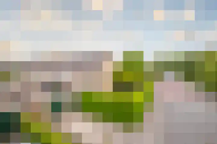 Diepenbrockstraat 1 Zevenaar thumbnail 6
