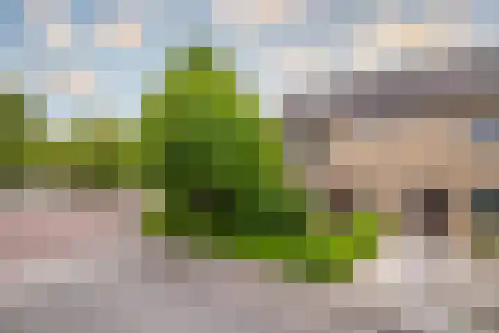 Diepenbrockstraat 1 Zevenaar thumbnail 7