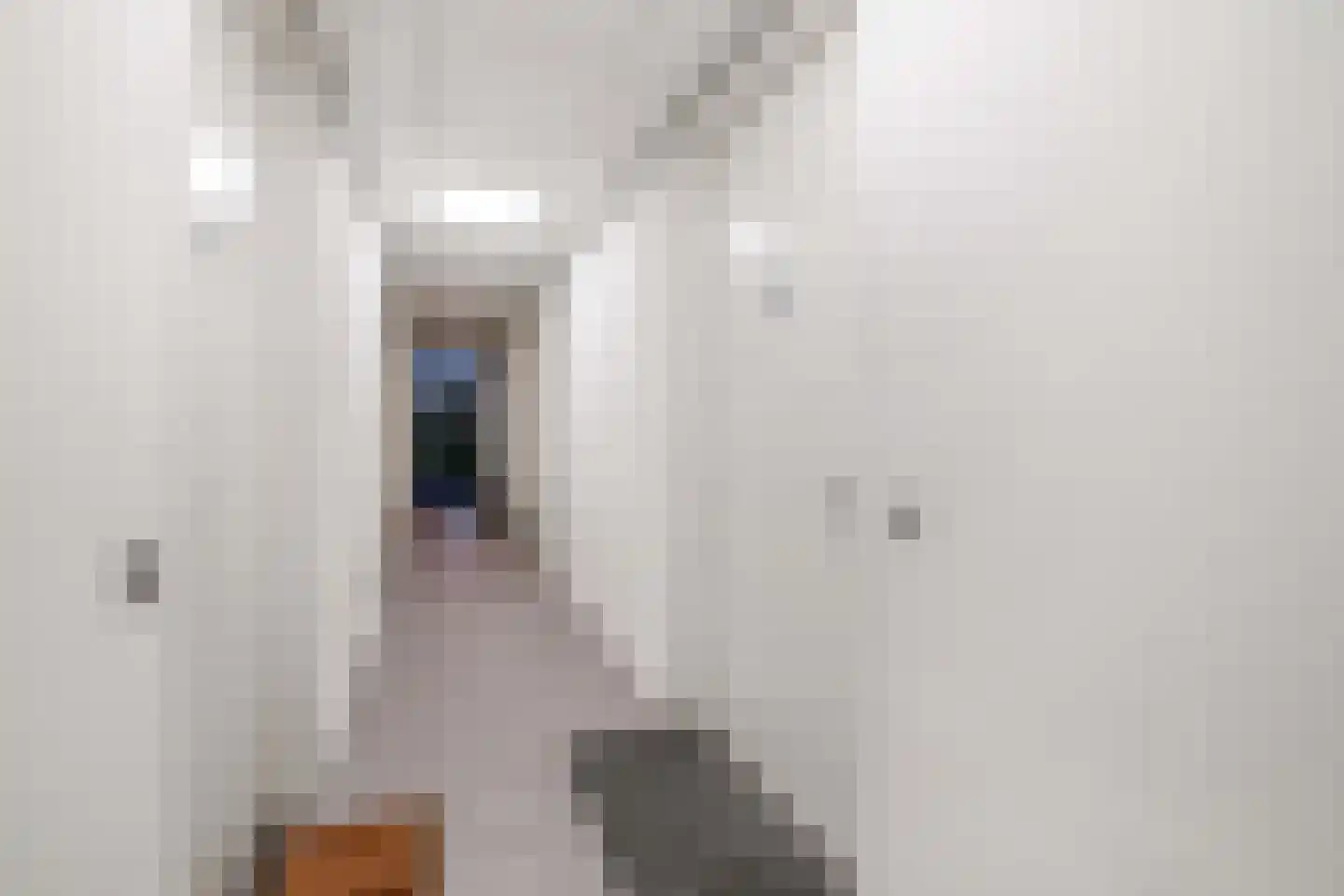 Diepenbrockstraat 10 Dirksland thumbnail 32