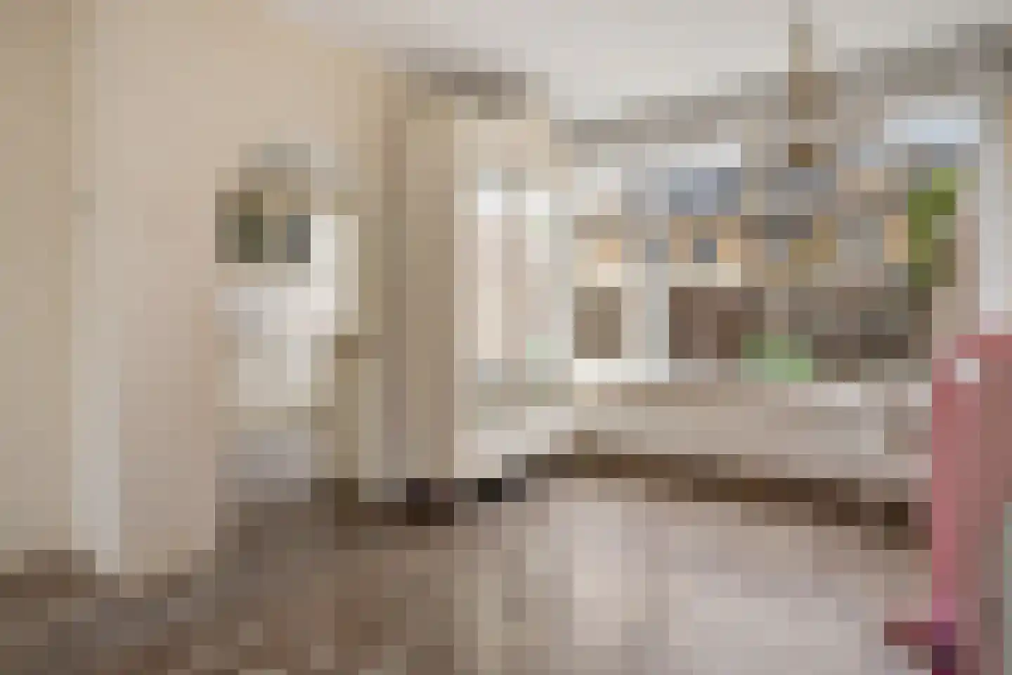 Diepenbrockstraat 10 Schagen thumbnail 12