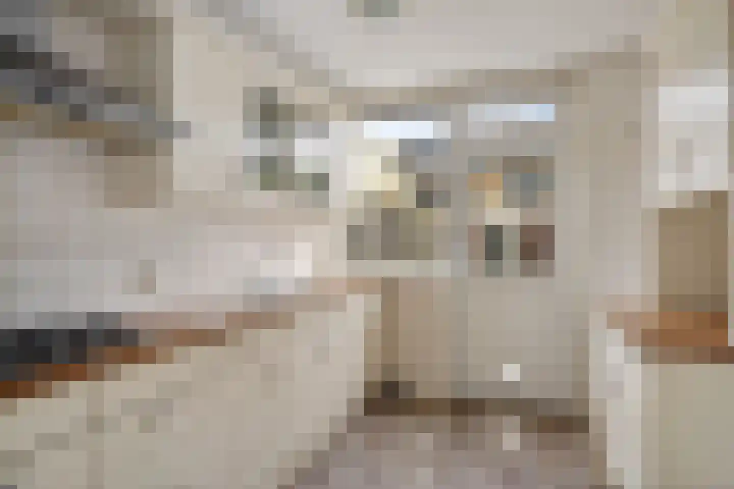 Diepenbrockstraat 10 Schagen thumbnail 15