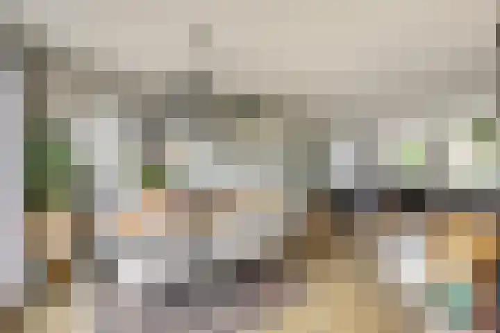 Diepenbrockstraat 10 Twello thumbnail 11