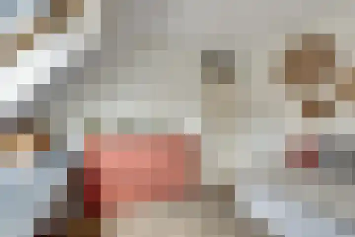 Diepenbrockstraat 10 Twello thumbnail 21
