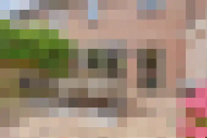 Diepenbrockstraat 10 Twello thumbnail 30
