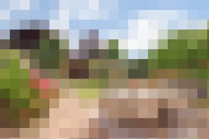 Diepenbrockstraat 10 Twello thumbnail 31