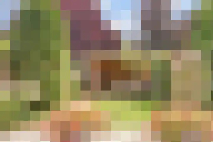 Diepenbrockstraat 10 Twello thumbnail 32