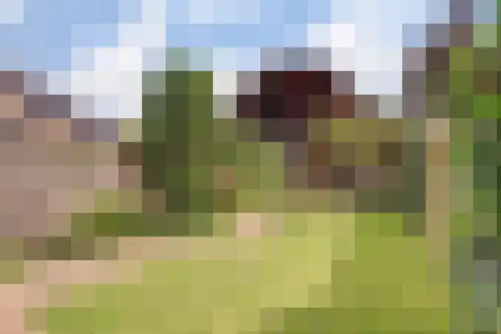 Diepenbrockstraat 10 Twello thumbnail 33