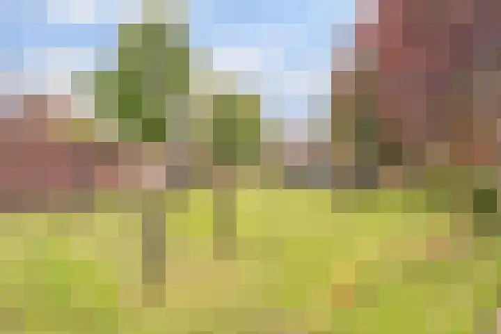 Diepenbrockstraat 10 Twello thumbnail 35