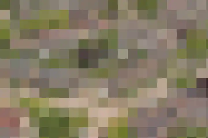 Diepenbrockstraat 10 Twello thumbnail 37