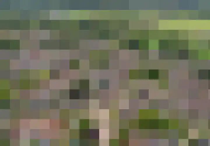 Diepenbrockstraat 10 Twello thumbnail 38