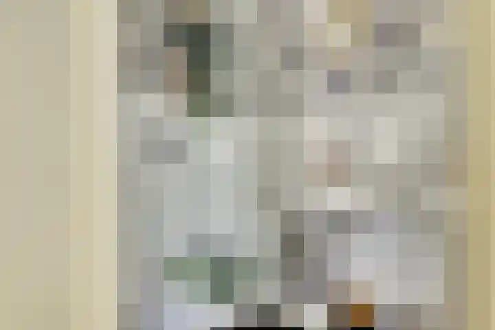 Diepenbrockstraat 10 Twello thumbnail 7