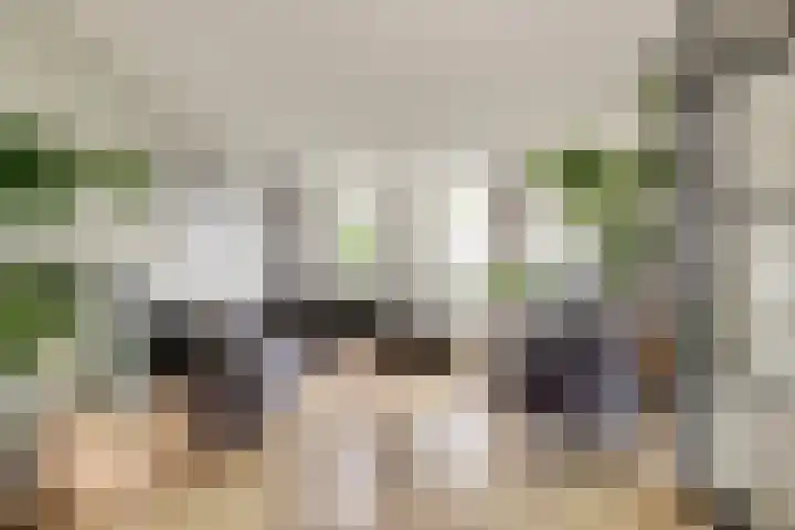 Diepenbrockstraat 10 Twello thumbnail 8