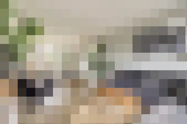 Diepenbrockstraat 10 Twello thumbnail 9