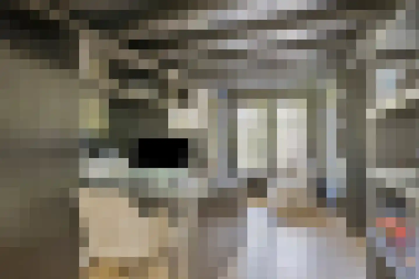 Diepenbrockstraat 11 Raamsdonksveer thumbnail 13