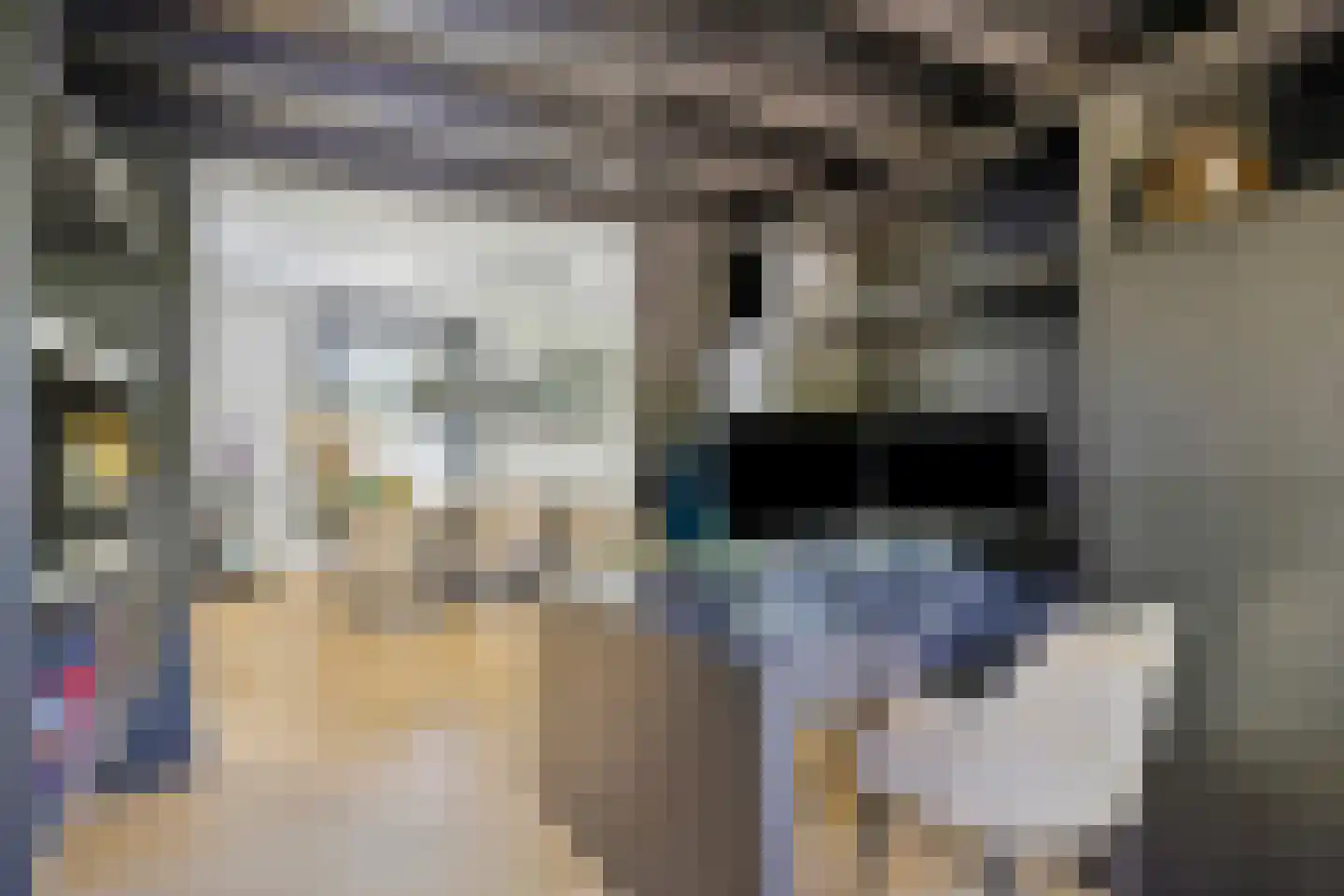 Diepenbrockstraat 11 Raamsdonksveer thumbnail 14