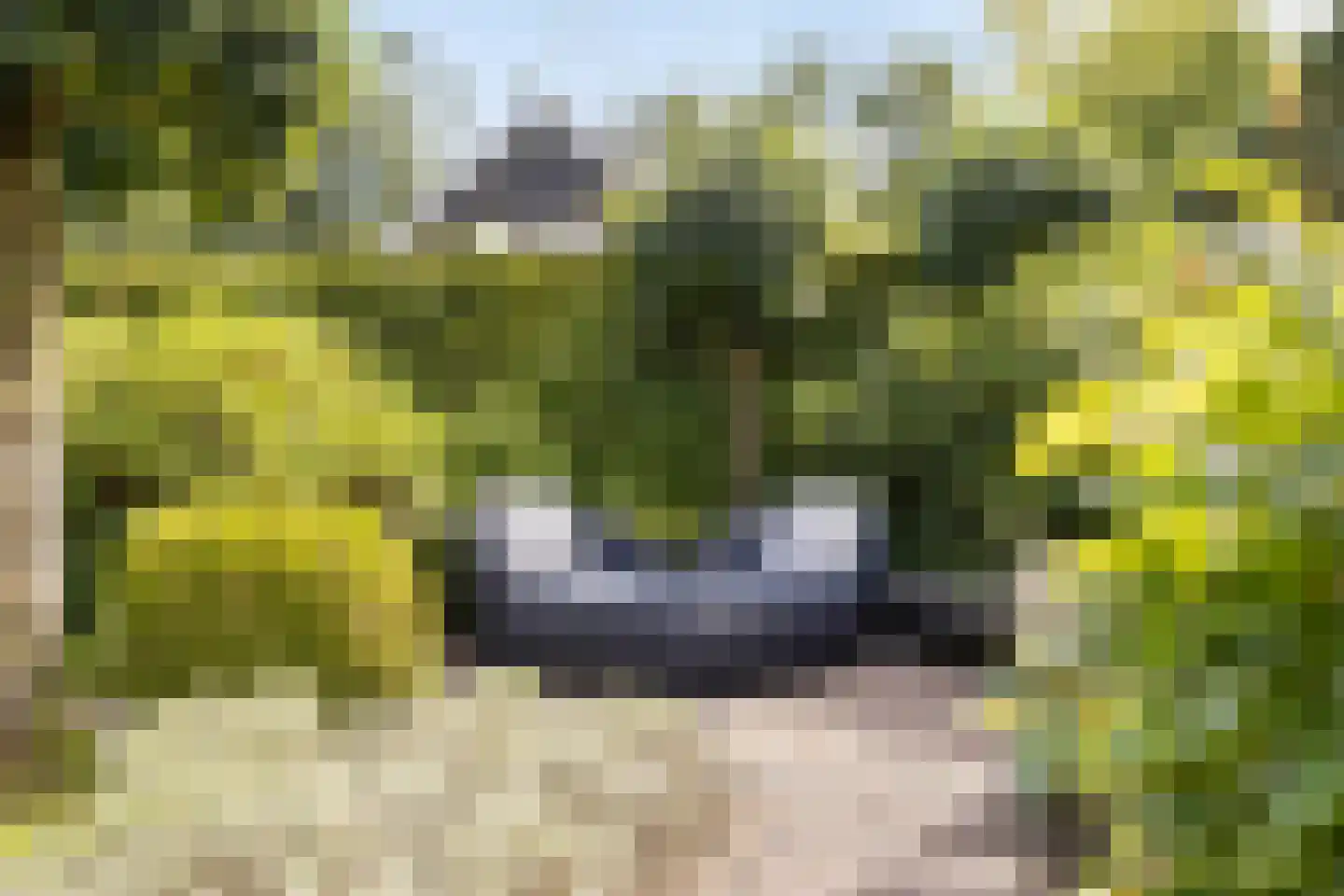 Diepenbrockstraat 11 Raamsdonksveer thumbnail 31