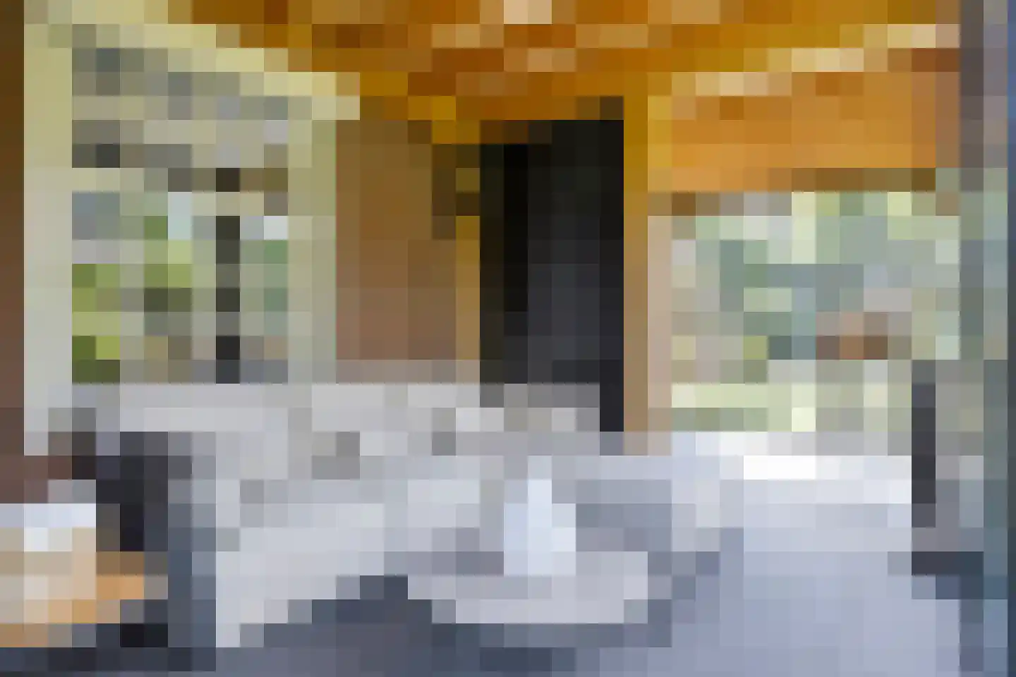 Diepenbrockstraat 11 Raamsdonksveer thumbnail 33