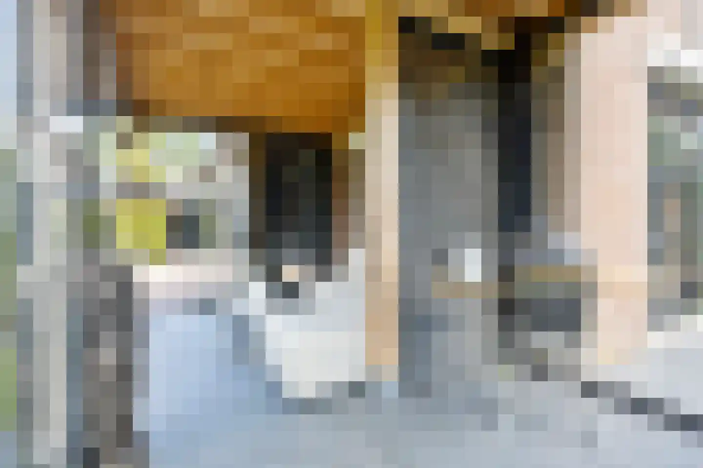 Diepenbrockstraat 11 Raamsdonksveer thumbnail 34