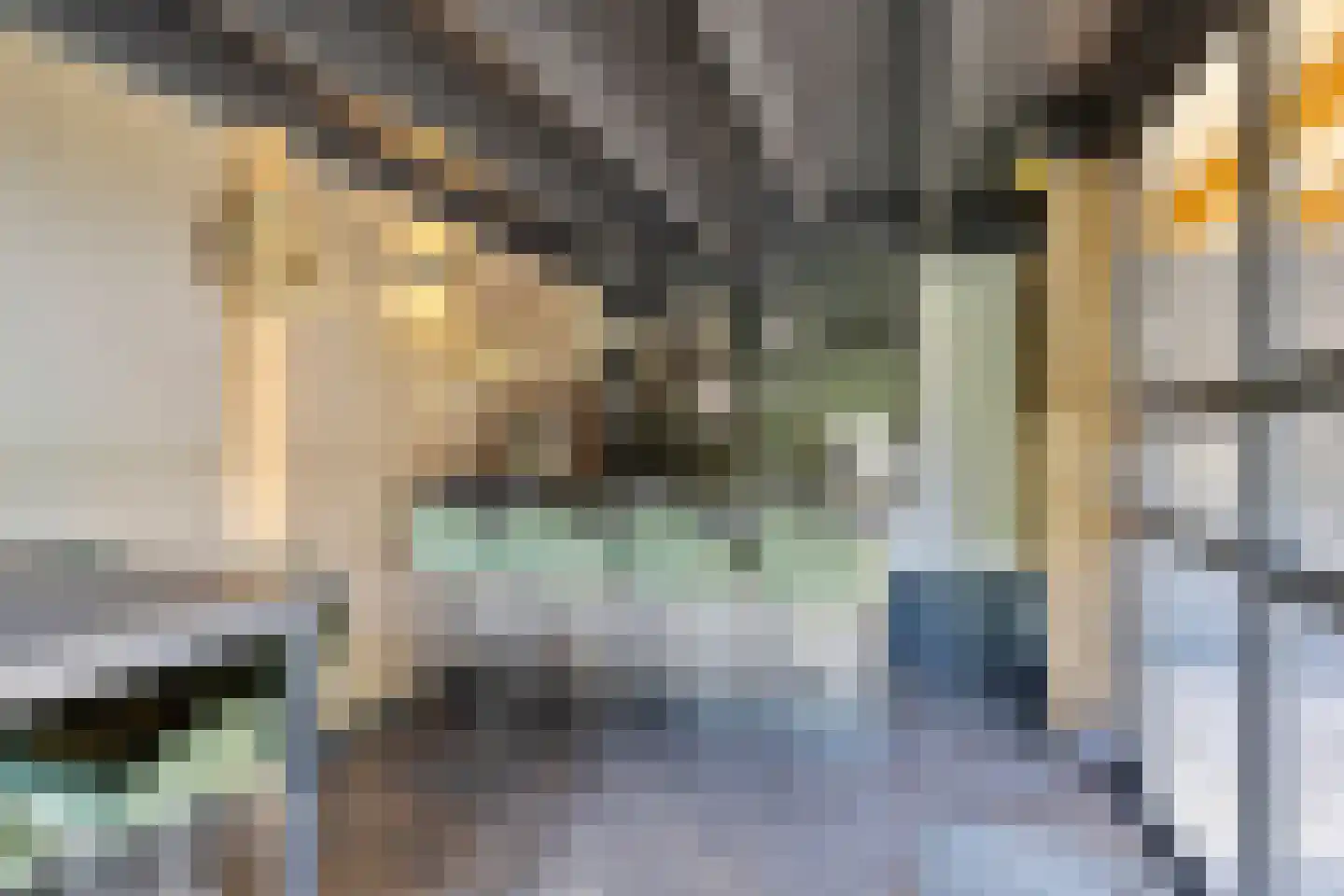 Diepenbrockstraat 11 Raamsdonksveer thumbnail 35