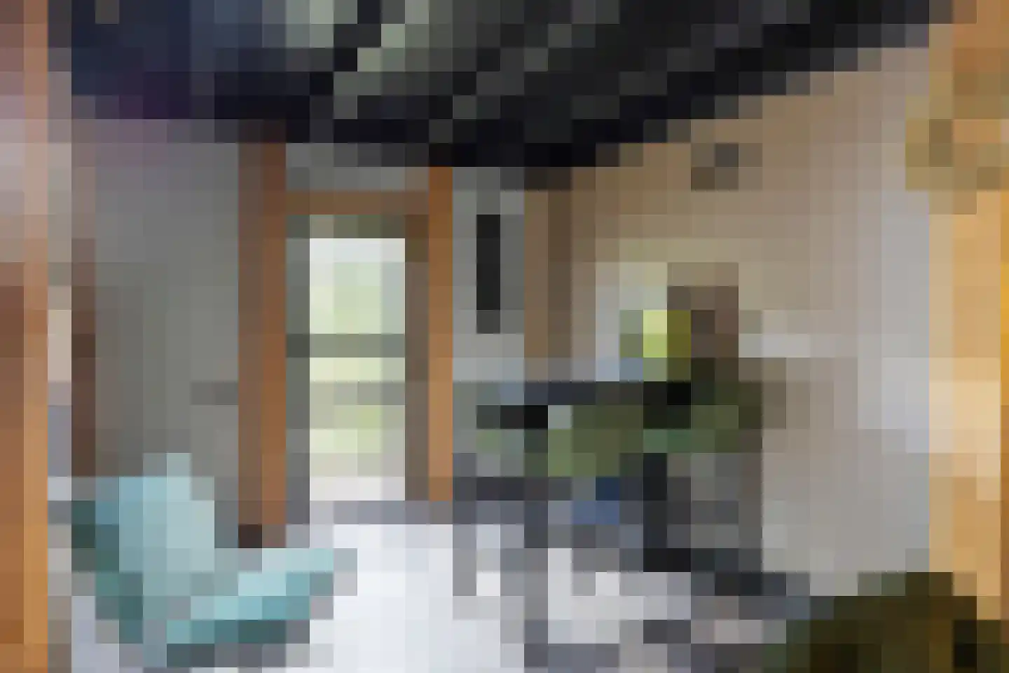 Diepenbrockstraat 11 Raamsdonksveer thumbnail 36