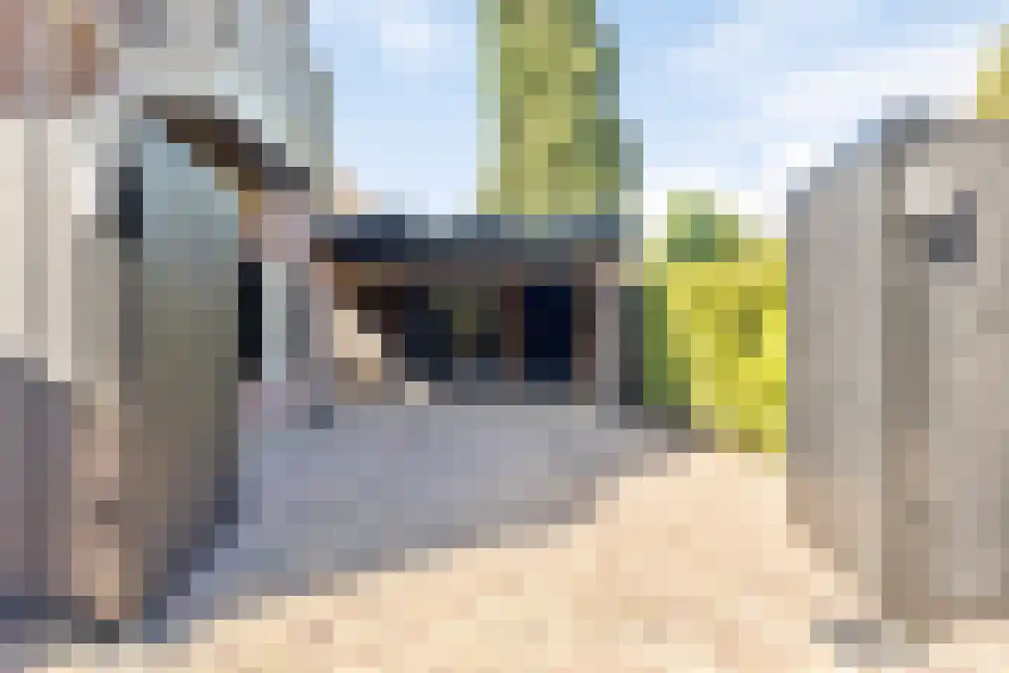 Diepenbrockstraat 11 Raamsdonksveer thumbnail 37