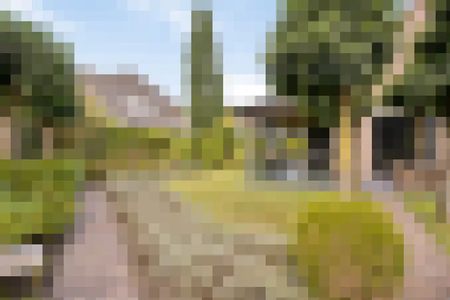Diepenbrockstraat 11 Raamsdonksveer thumbnail 39