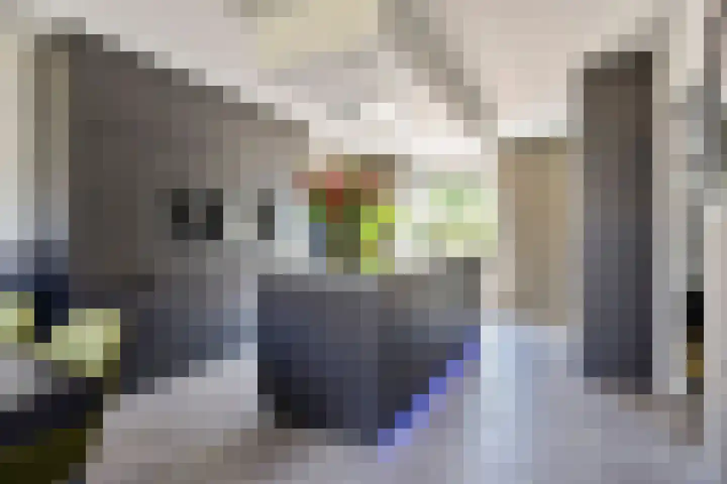 Diepenbrockstraat 11 Raamsdonksveer thumbnail 4