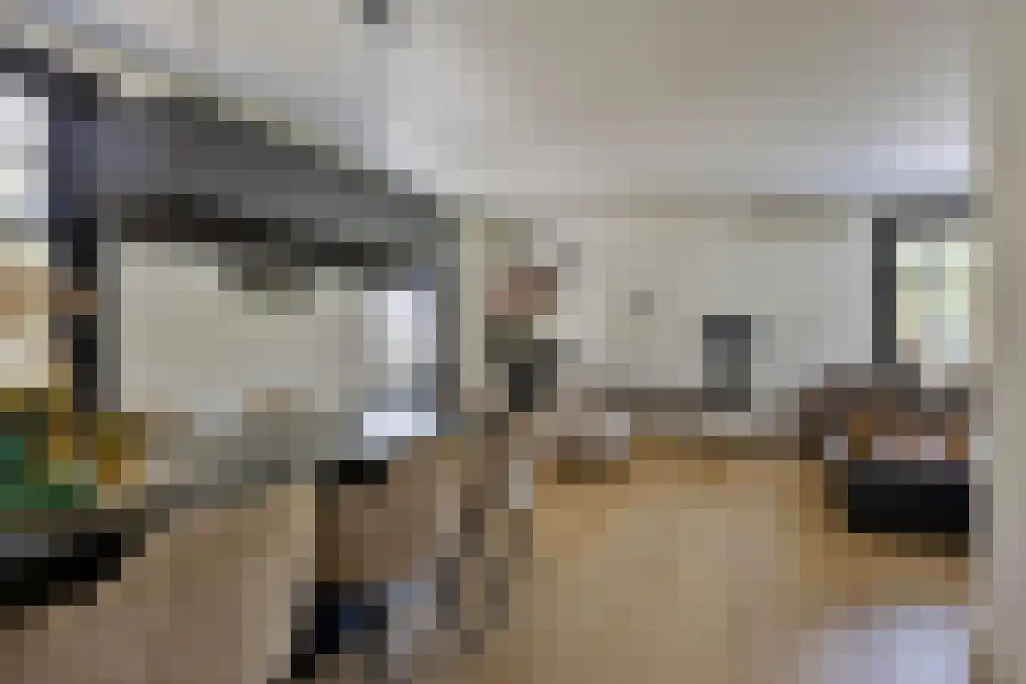 Diepenbrockstraat 11 Raamsdonksveer thumbnail 5