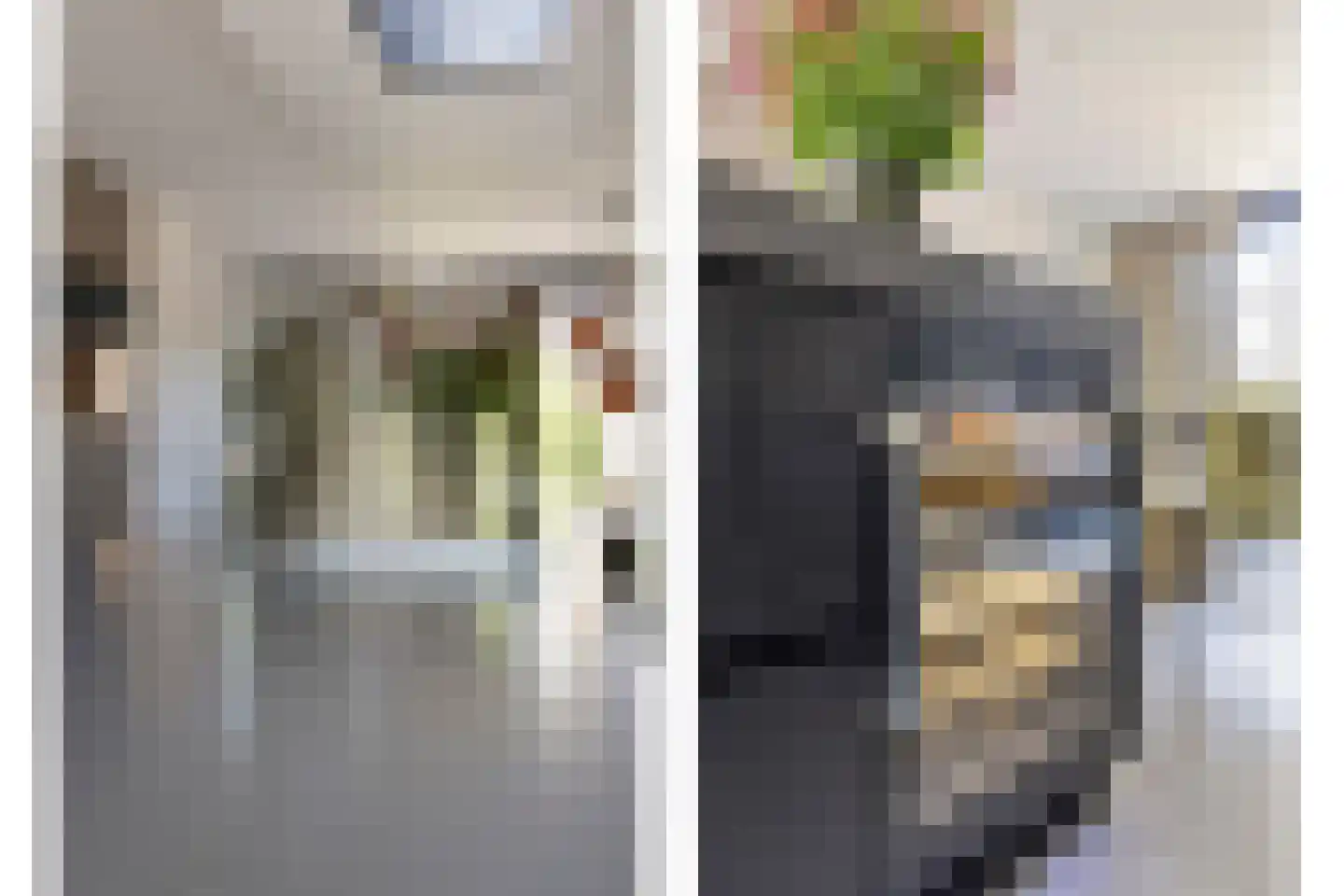 Diepenbrockstraat 11 Raamsdonksveer thumbnail 8