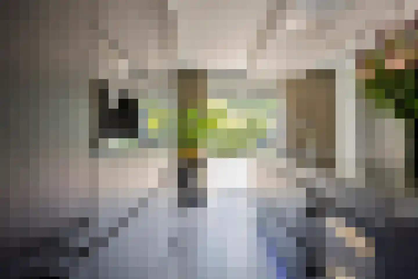 Diepenbrockstraat 11 Raamsdonksveer thumbnail 9