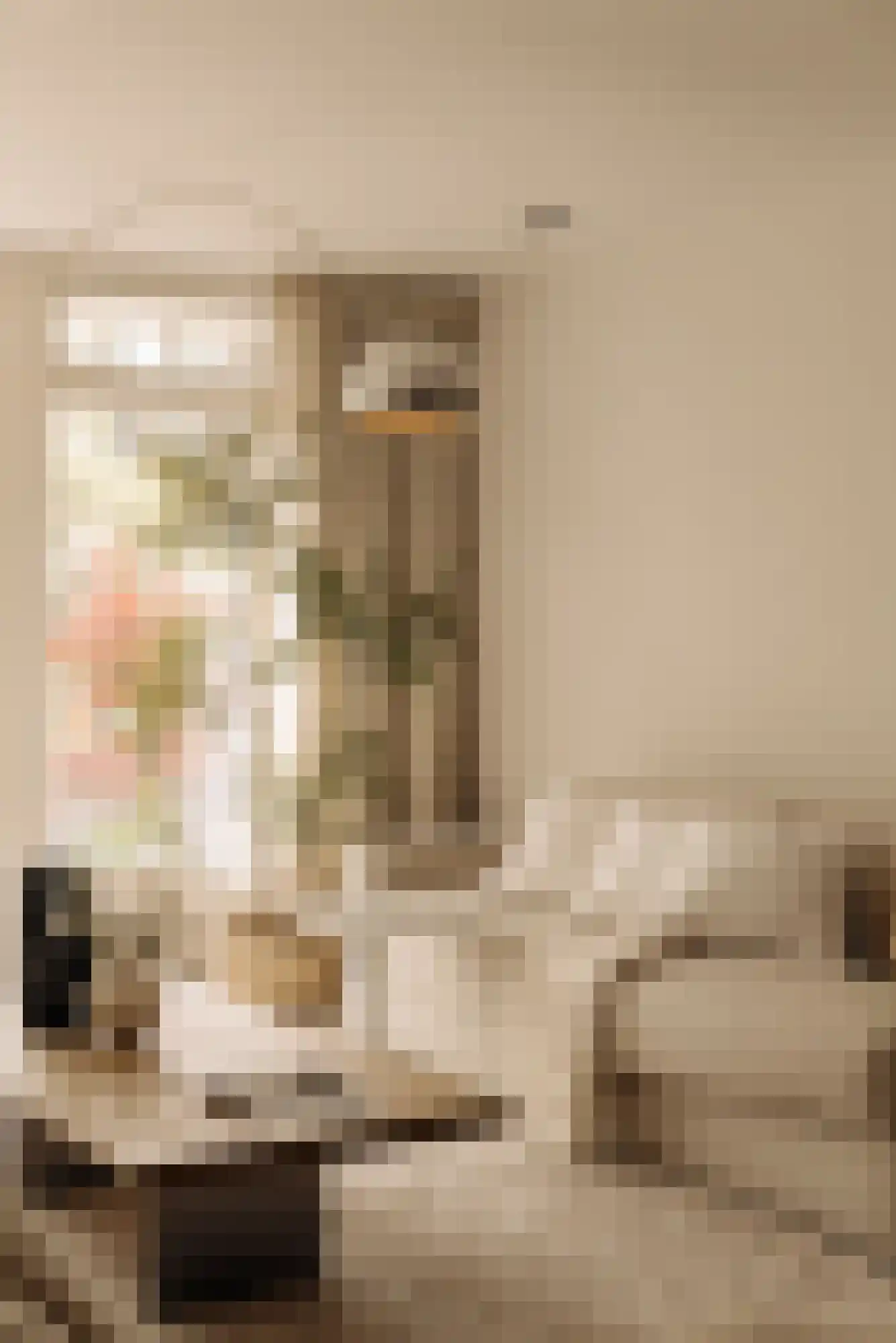 Diepenbrockstraat 14 Amsterdam thumbnail 26