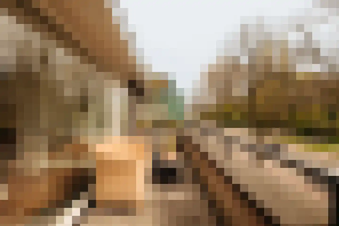 Diepenbrockstraat 14 Amsterdam thumbnail 40