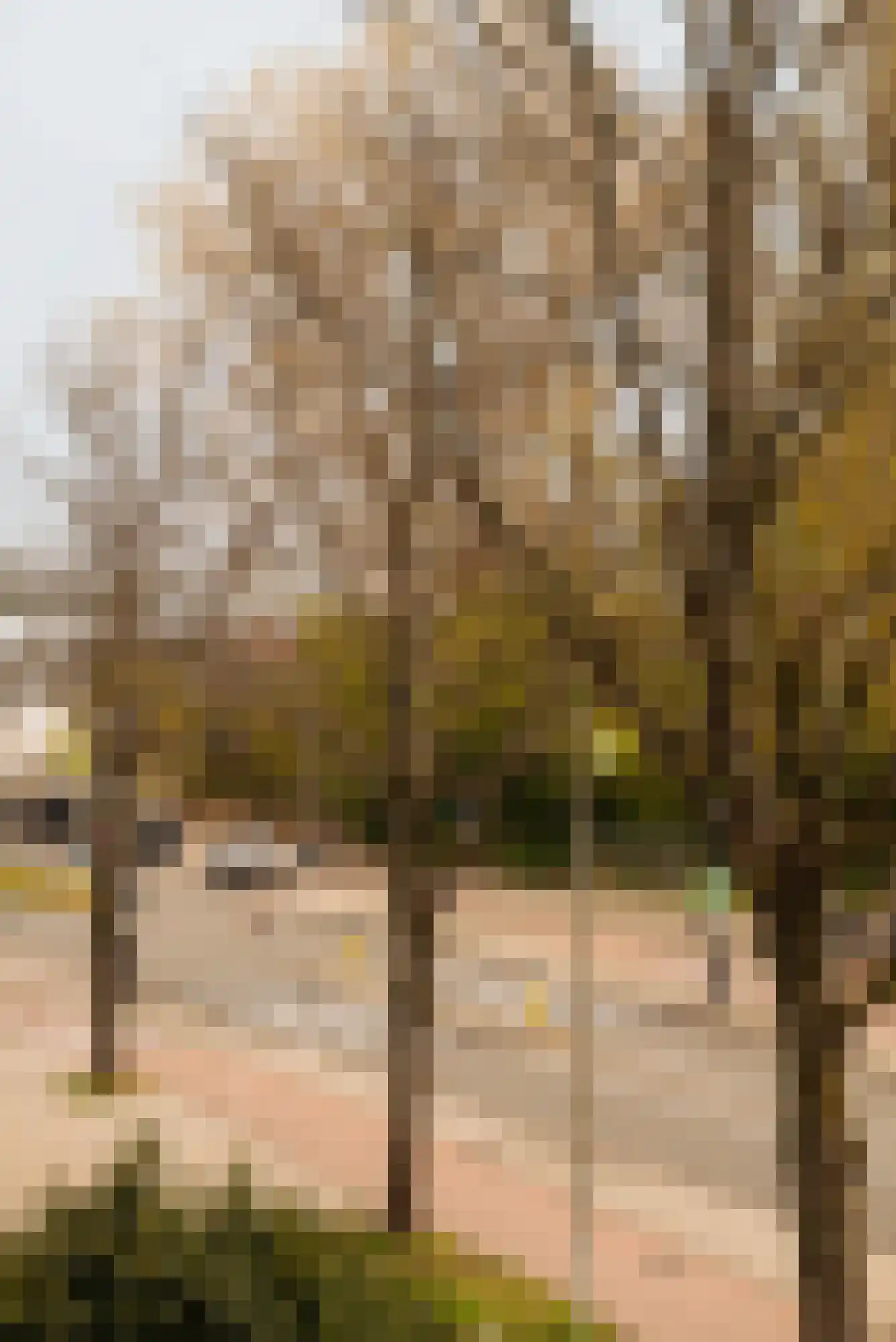 Diepenbrockstraat 14 Amsterdam thumbnail 41