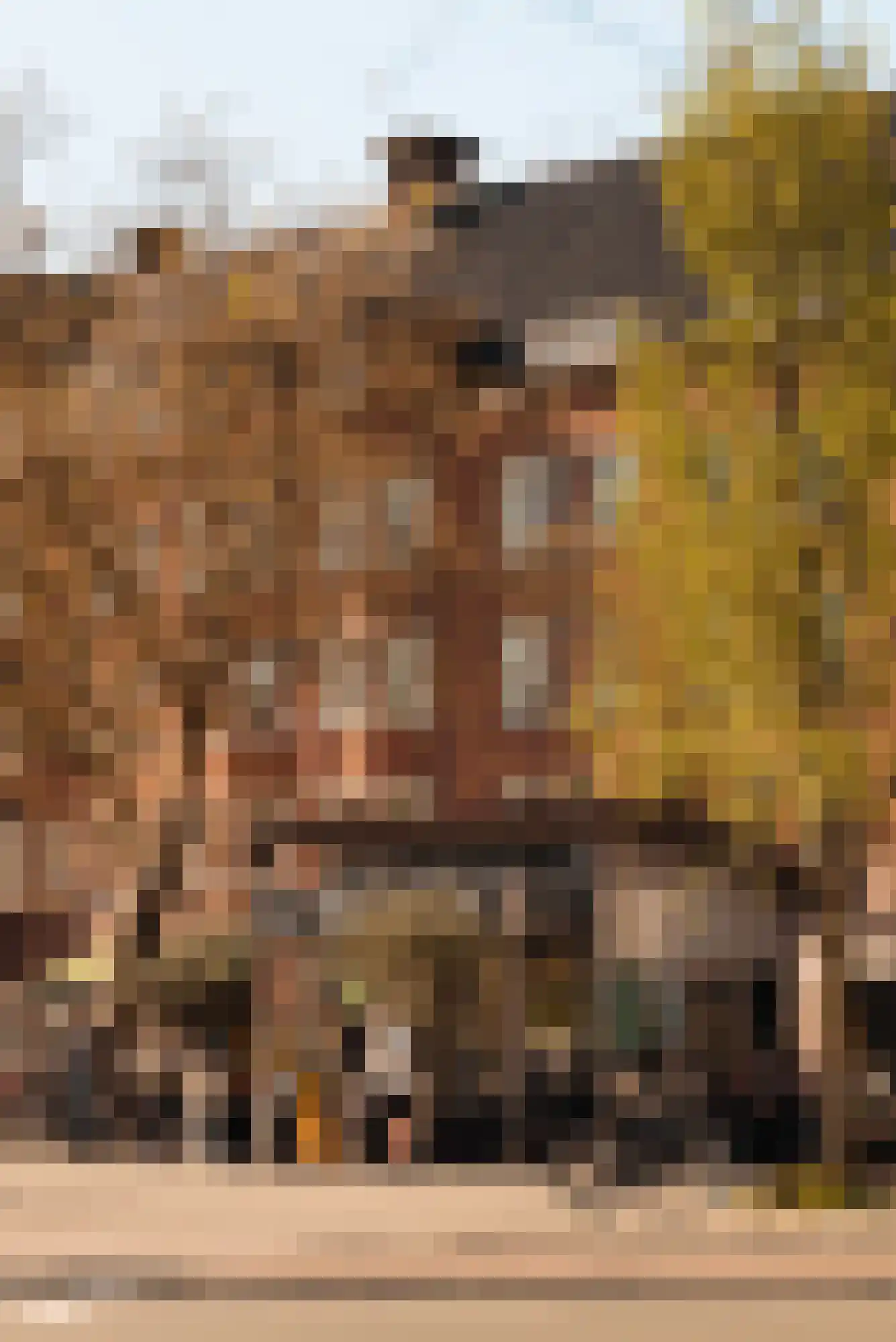 Diepenbrockstraat 14 Amsterdam thumbnail 60