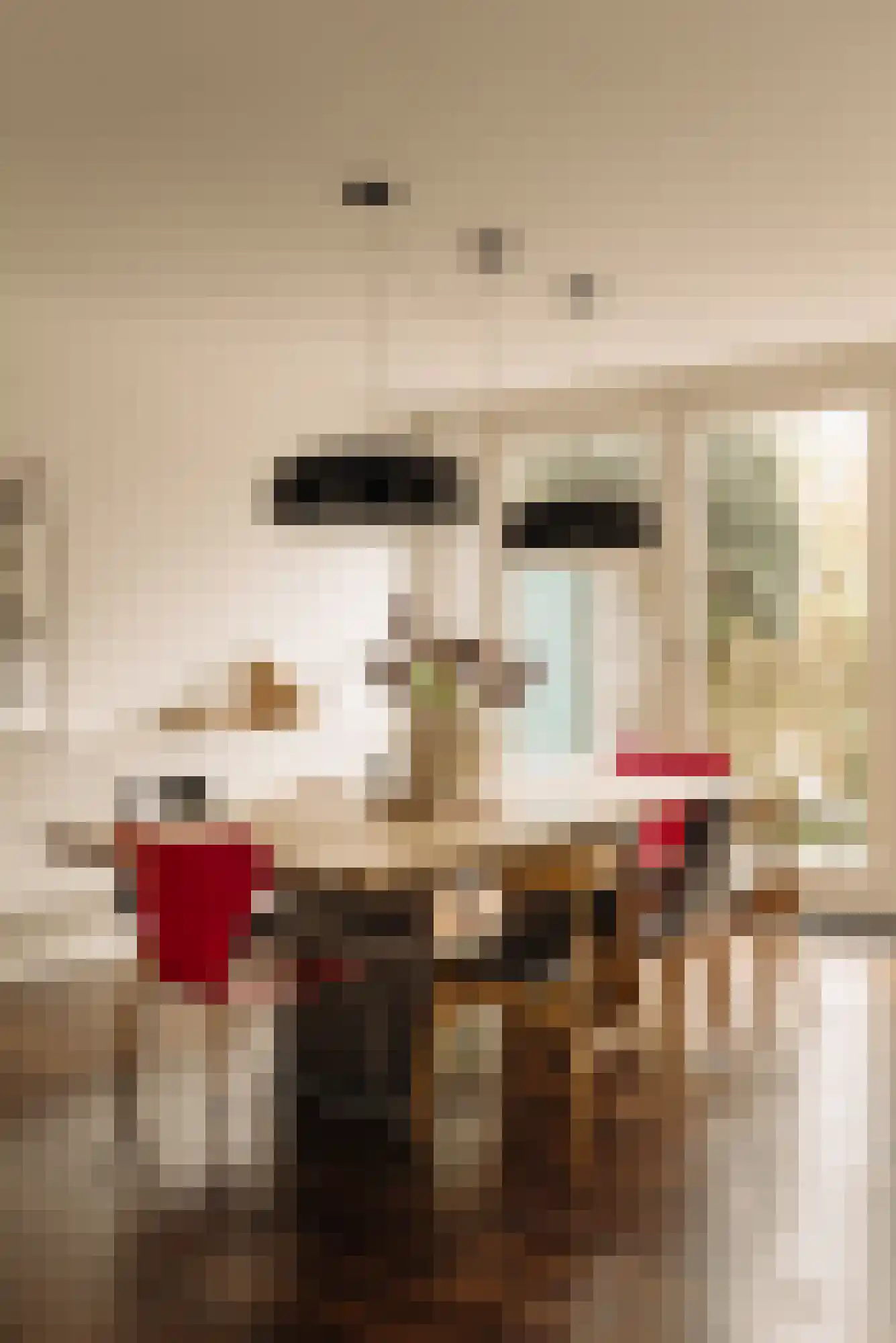 Diepenbrockstraat 14 Amsterdam thumbnail 7