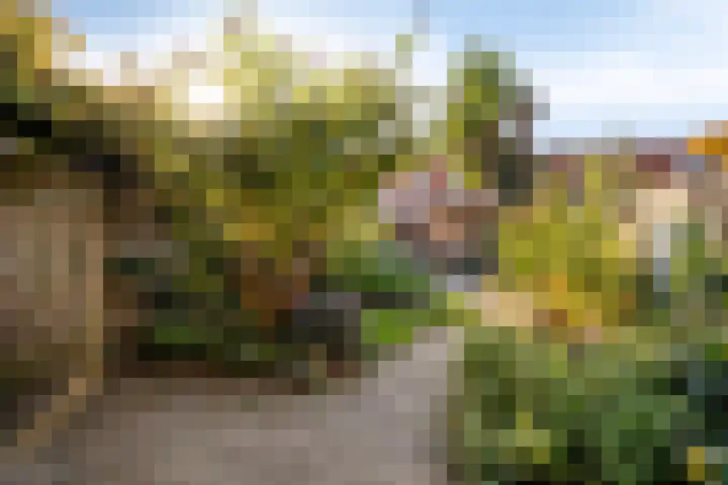 Diepenbrockstraat 14 Eindhoven thumbnail 25