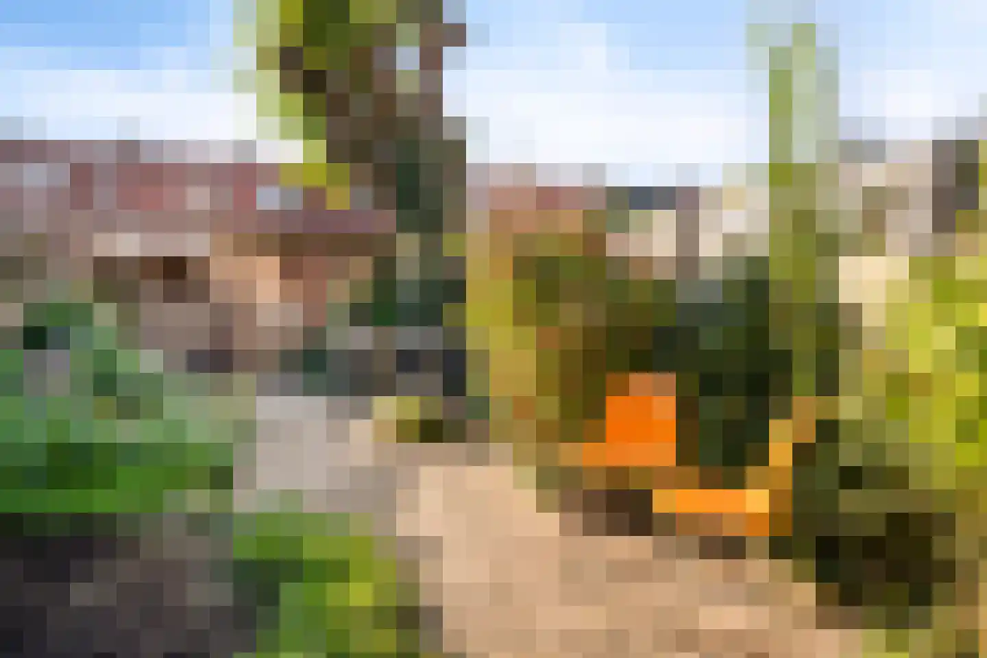 Diepenbrockstraat 14 Eindhoven thumbnail 26
