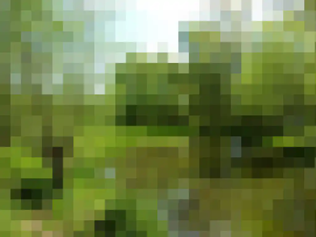 Diepenbrockstraat 14 Eindhoven thumbnail 31