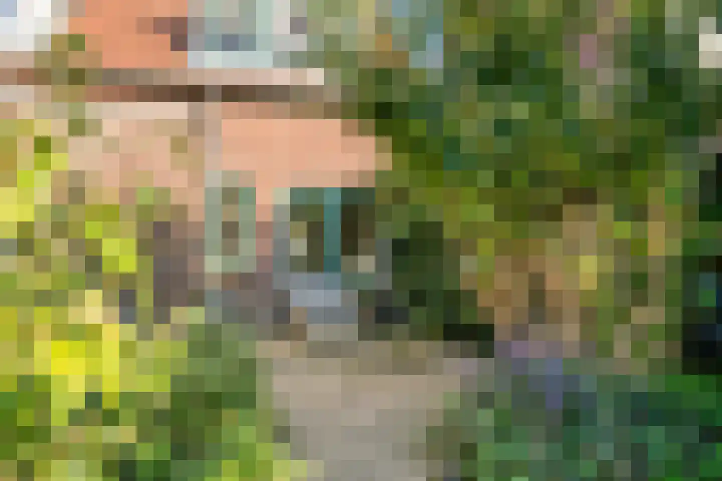 Diepenbrockstraat 14 Eindhoven thumbnail 8