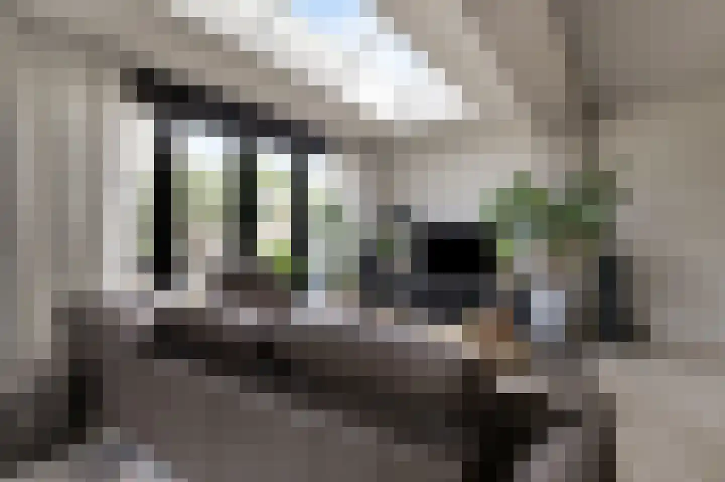 Diepenbrockstraat 14 Zevenaar thumbnail 17