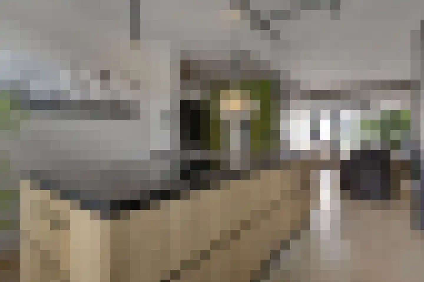 Diepenbrockstraat 14 Zevenaar thumbnail 19