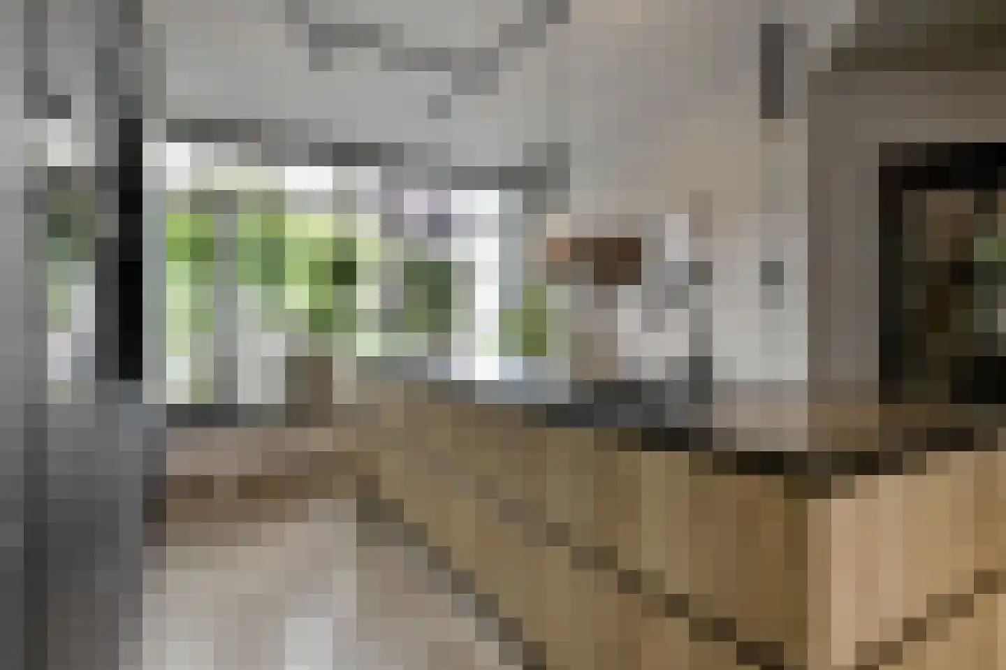 Diepenbrockstraat 14 Zevenaar thumbnail 20